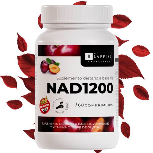 NAD1200