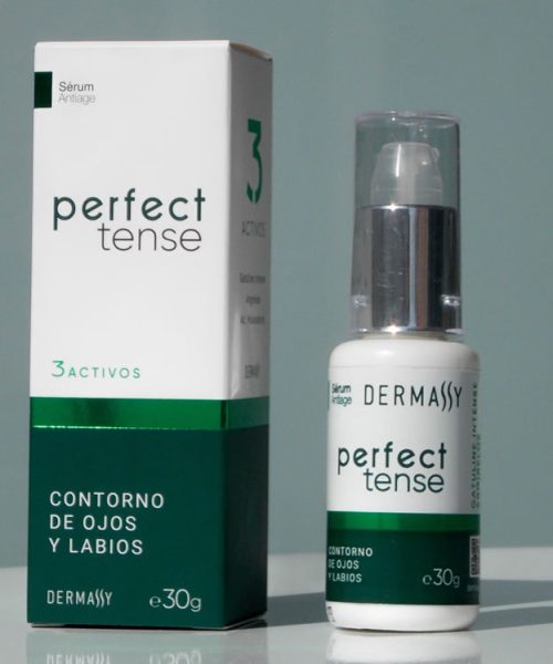 PERFECT TENSE